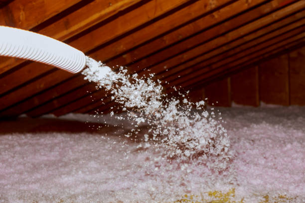 Best Eco-Friendly Insulation in Balfour, NC
