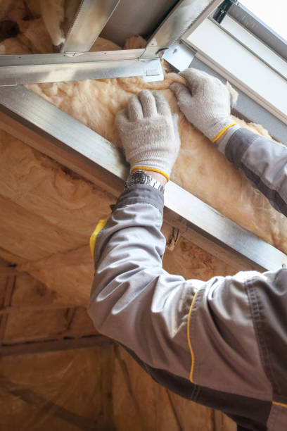 Best Cellulose Insulation in Balfour, NC