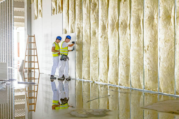 Best Specialized Insulation Services in Balfour, NC